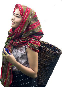 Get Fresh And Nature